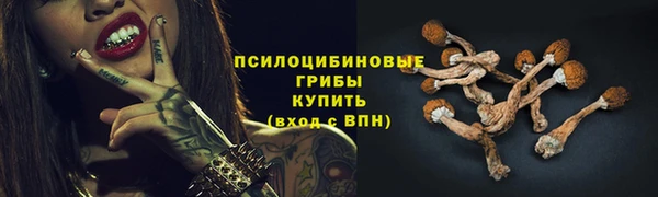а пвп мука Березники