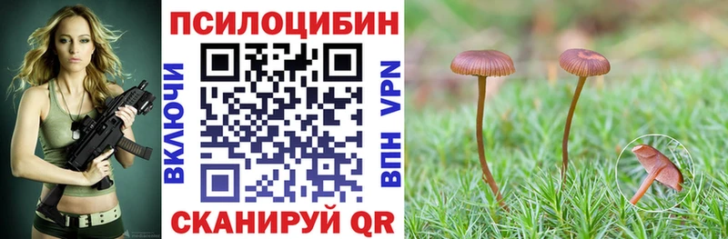 Галлюциногенные грибы Magic Shrooms  мега tor  Артёмовский 